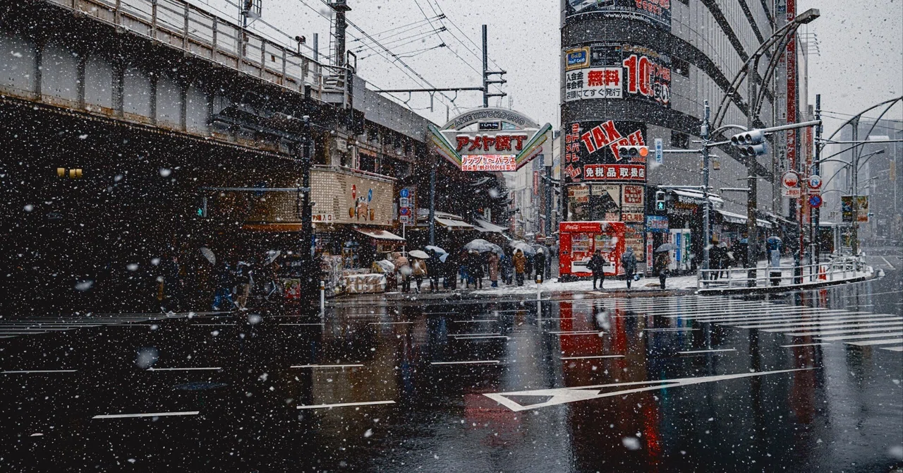 閲覧数10万を一瞬で超えた、上野の雪景色とその納得の理由 | 写真15枚