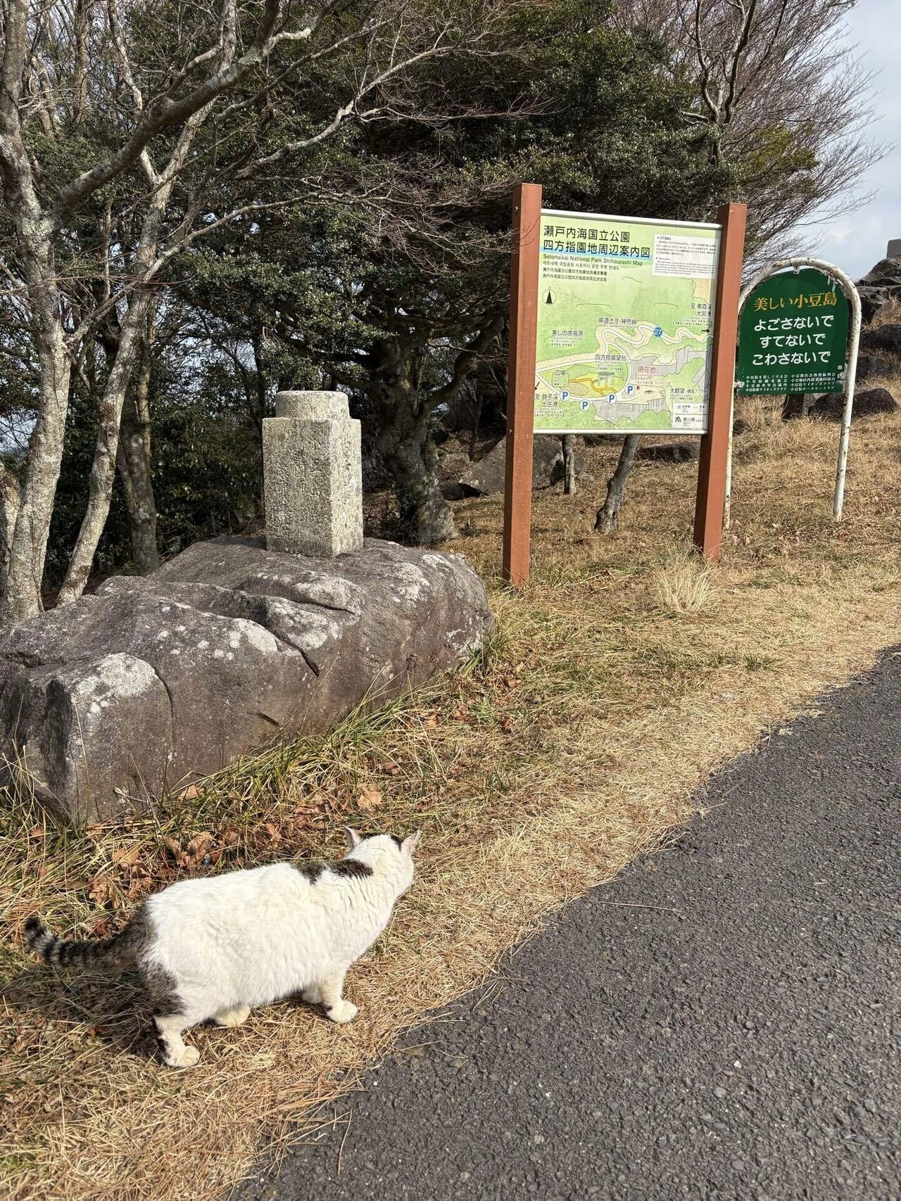 タクシーで巡る小豆島からの骨付鳥 香川旅2026｜ピンレモ