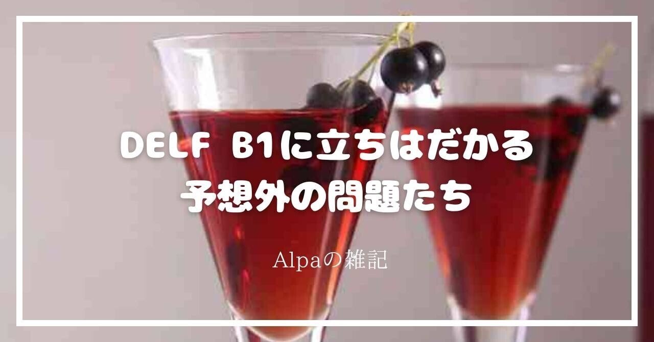 フランス語勉強📚】仏🇫🇷DELF B1、フランス語だけじゃなくフランス