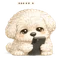 AMEDESU