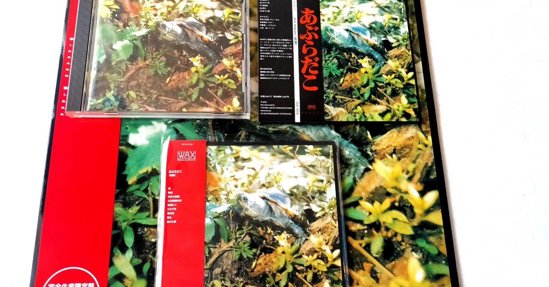 あぶらだこ 1989年4月10日 徳間ジャパン・WAX より9曲入り3rdアルバム