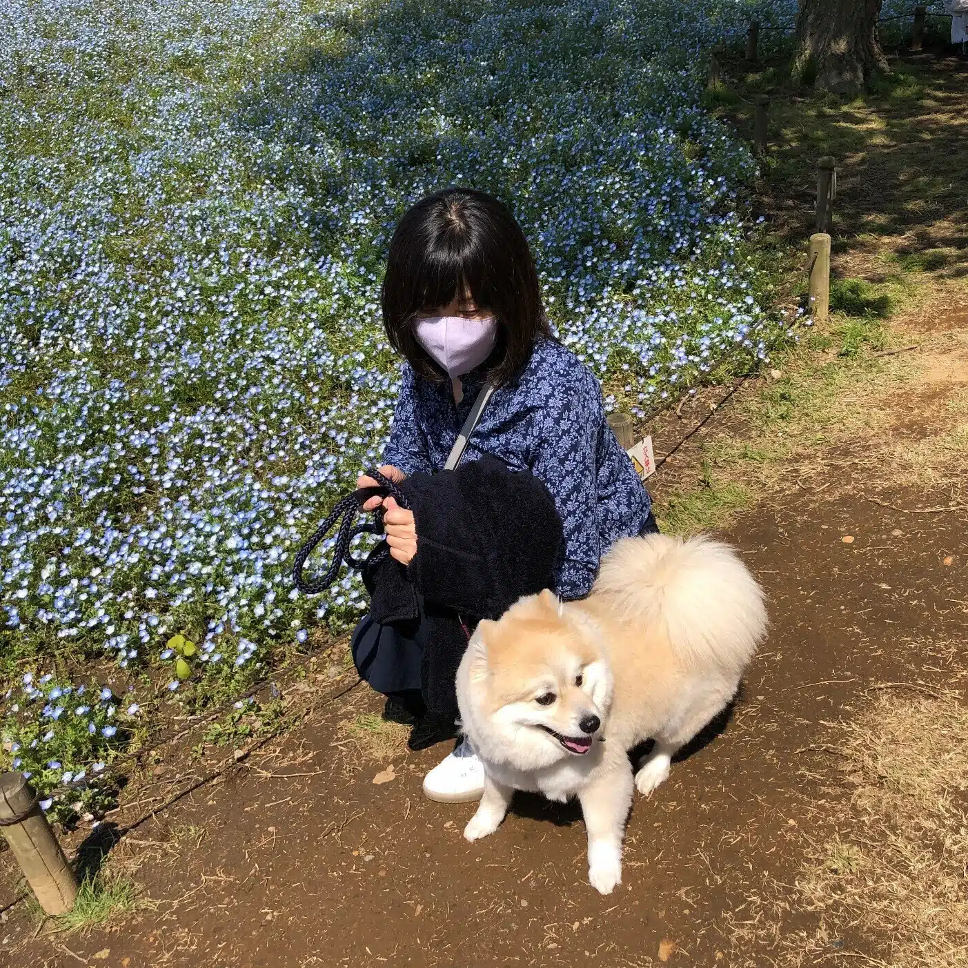 nonchue