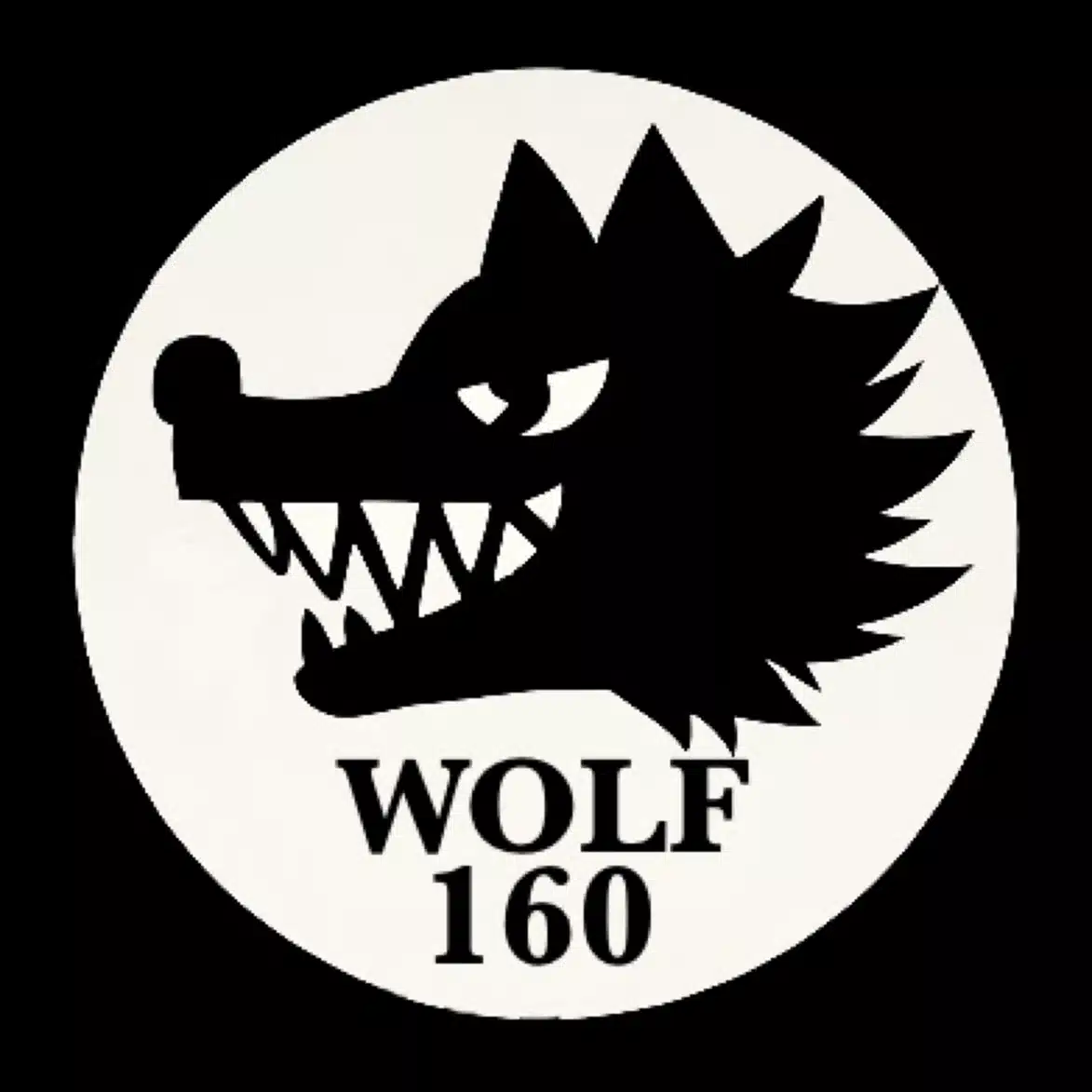 Wolf of iPod 160GB