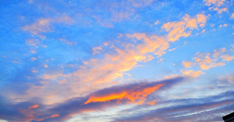 未来へ進む勇気をくれる 心に響く乃木坂46楽曲の歌詞 君の名は希望 たかやん フリーランスwebライター Note