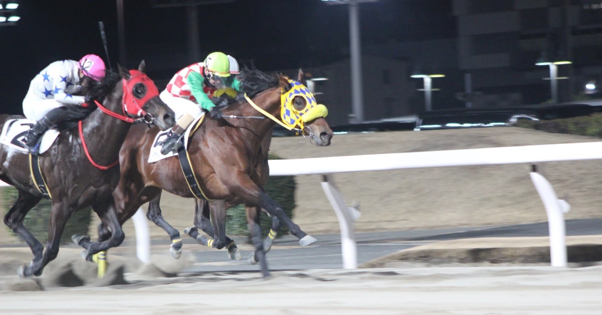 KEIBA 川崎競馬｜KAWASAKI KAWASAKI 今年度の川崎競馬初日から 川崎