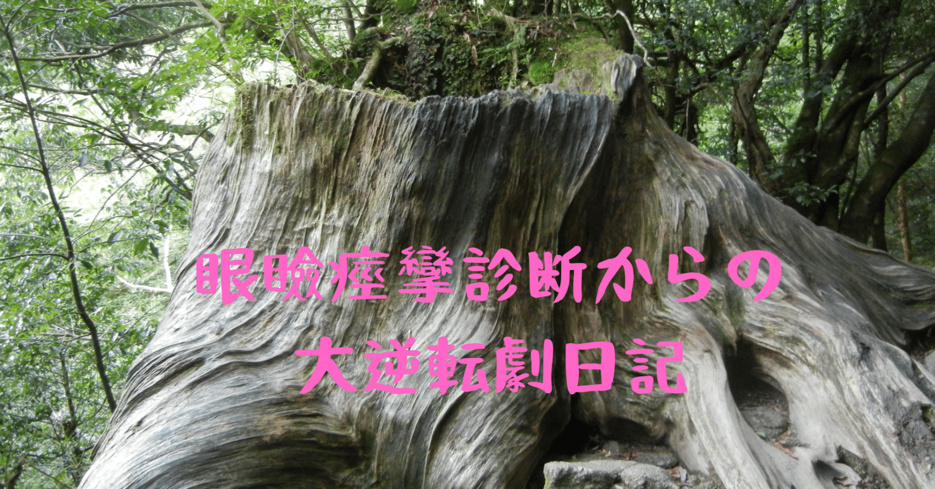 Vol.123 ～屋久島旅行 回顧録～｜シゴトスキー