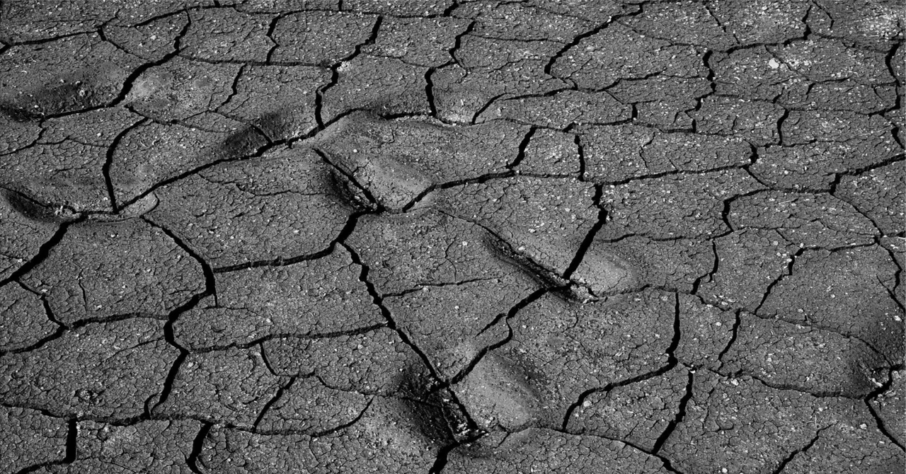 福岡都市圏の少雨・渇水から見える水の広域依存と気候変動の影｜Takayuki Shimakura