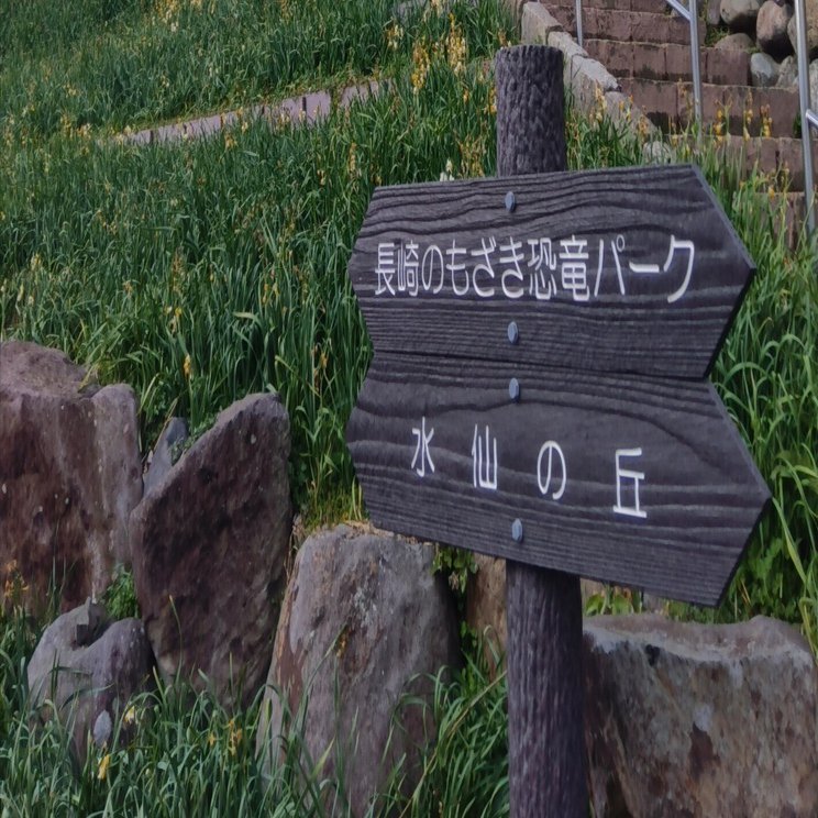 長崎県野母崎水仙の丘｜ai