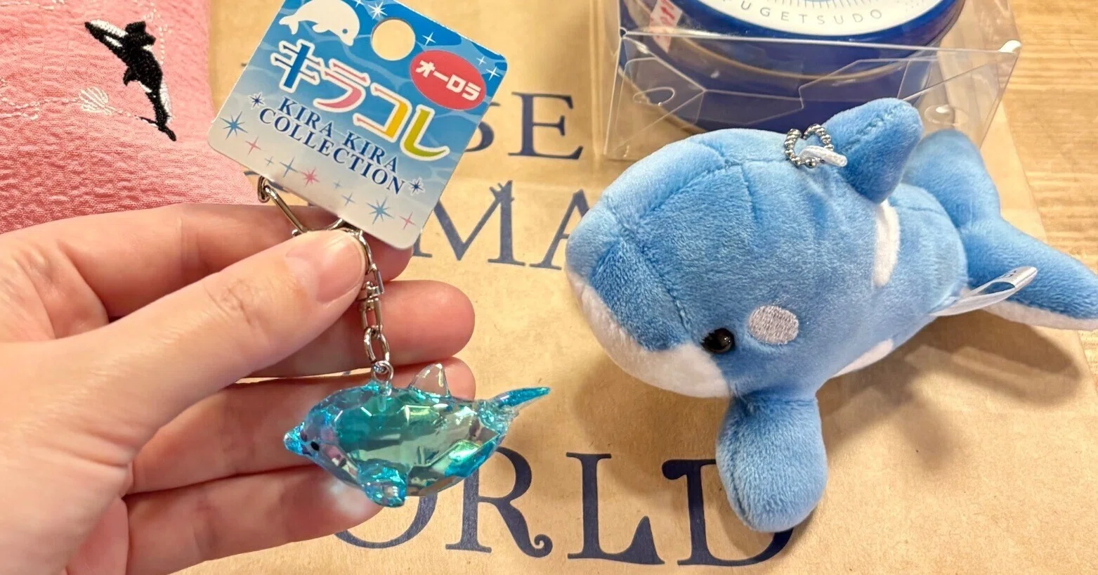 海の世界の仲間たちの違い 〜イルカ？オルカ？シャチの謎〜｜神村咲