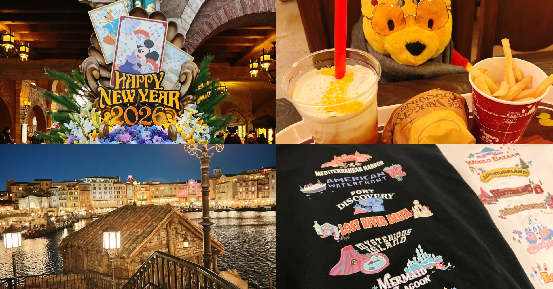 東京ディズニーシー 計画性皆無の新年初インパ 26.01.11｜ねがくず