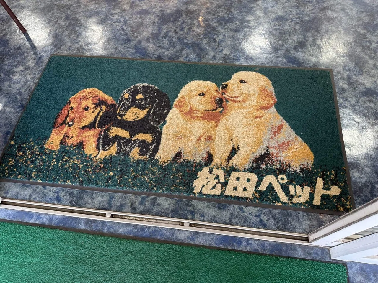 松田ペット　看板　直筆サイン付き 長岡の異世界】クセが強すぎる「松ペ」看板（新潟県長岡市）｜湯と