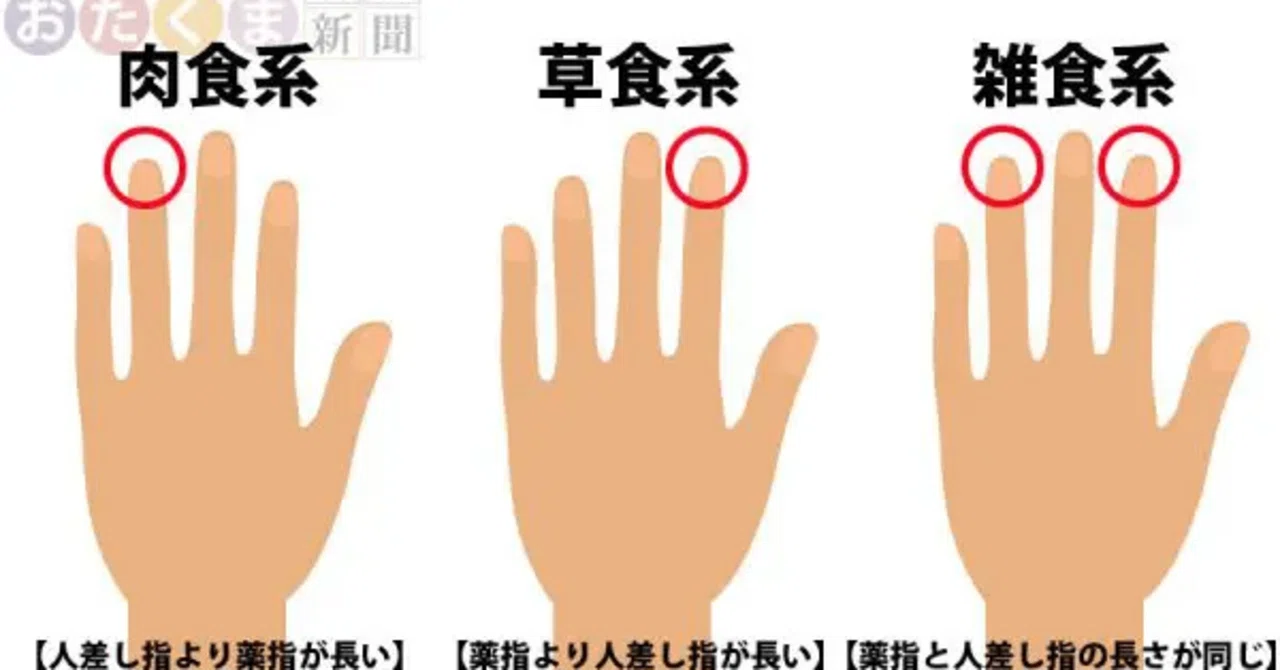 人差し指 より 薬指 が 長い