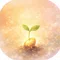 ひかりのたね｜🌱明るく幸せな芽がでる種を蒔こう🌱