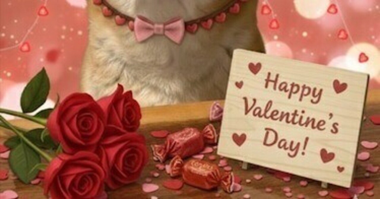 Happy Valentineday🍫！｜Akihiko Oosugi