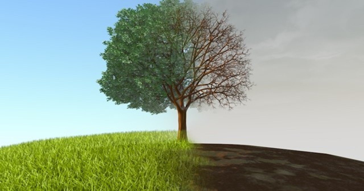 節約 エコ お金をかけないエシカルな生活 Limer Lana Note 節約 エコ お金をかけないエシカルな生活 Limer Lana Note