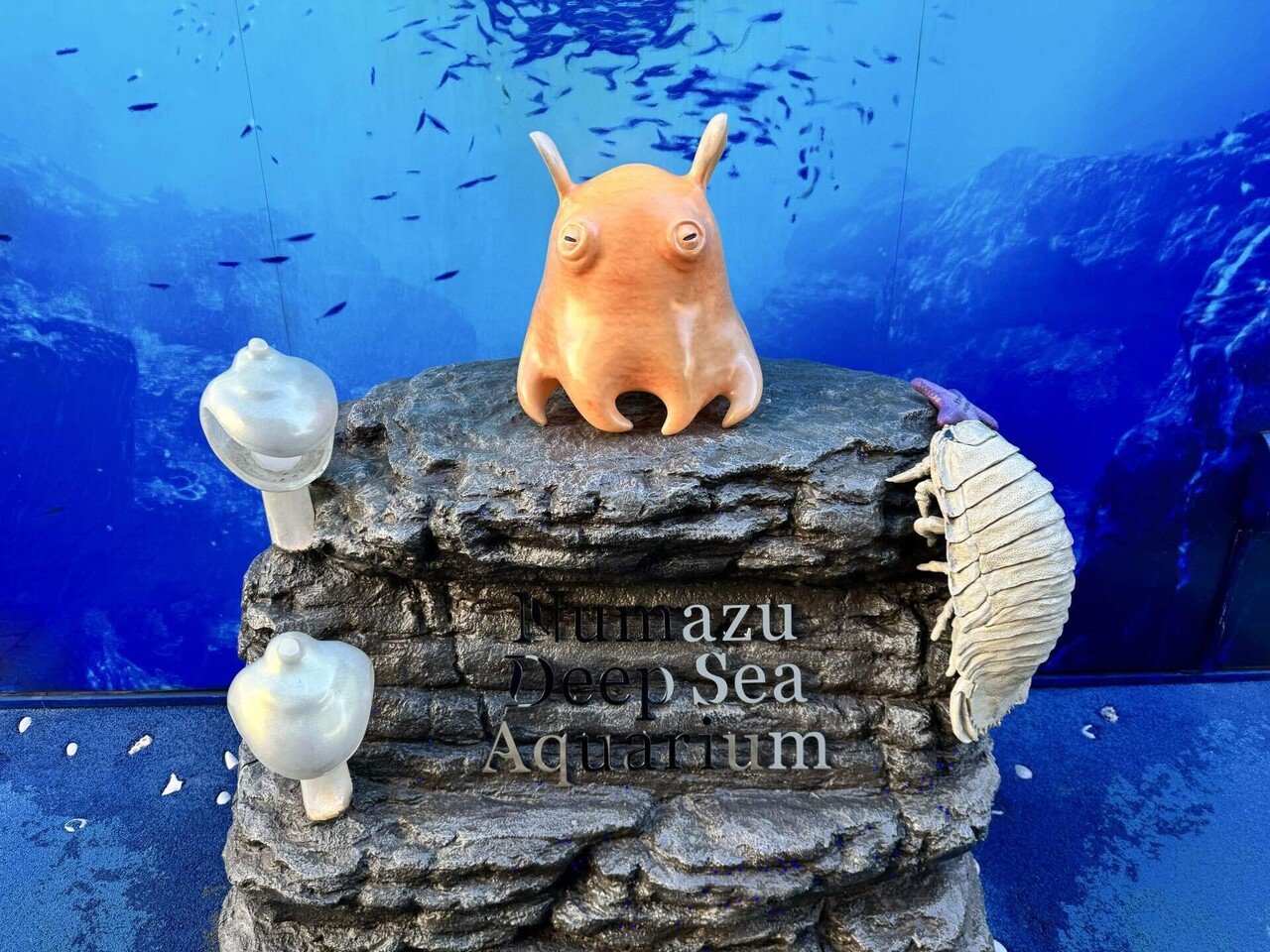 26年1月 熱海・三島・沼津の旅⑦ 沼津港深海水族館の魅力的な生物たち