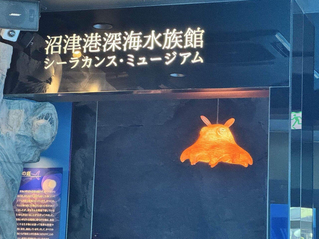 26年1月 熱海・三島・沼津の旅⑦ 沼津港深海水族館の魅力的な生物たち