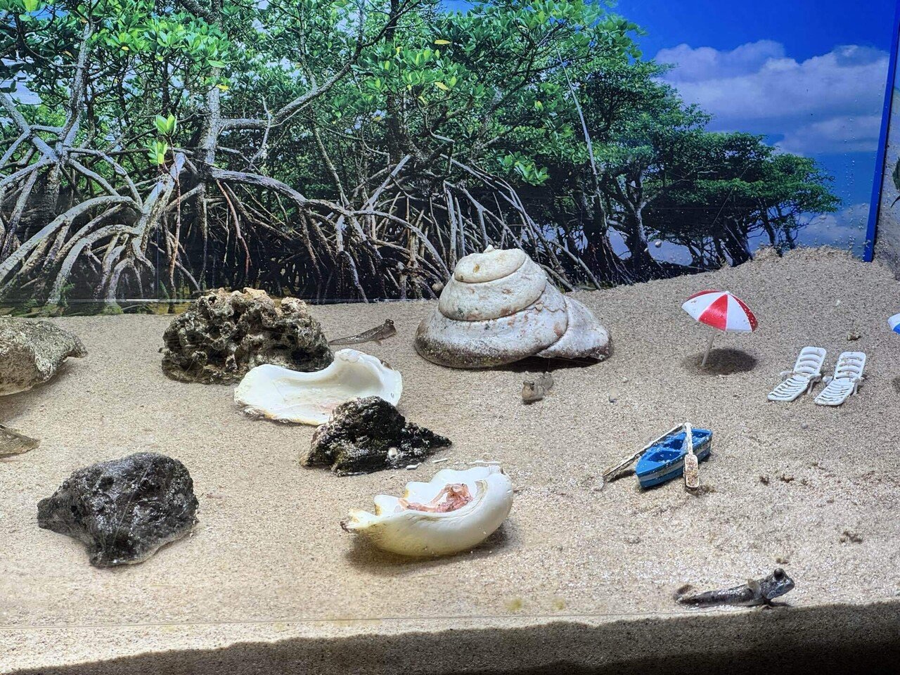 26年1月 熱海・三島・沼津の旅⑦ 沼津港深海水族館の魅力的な生物たち