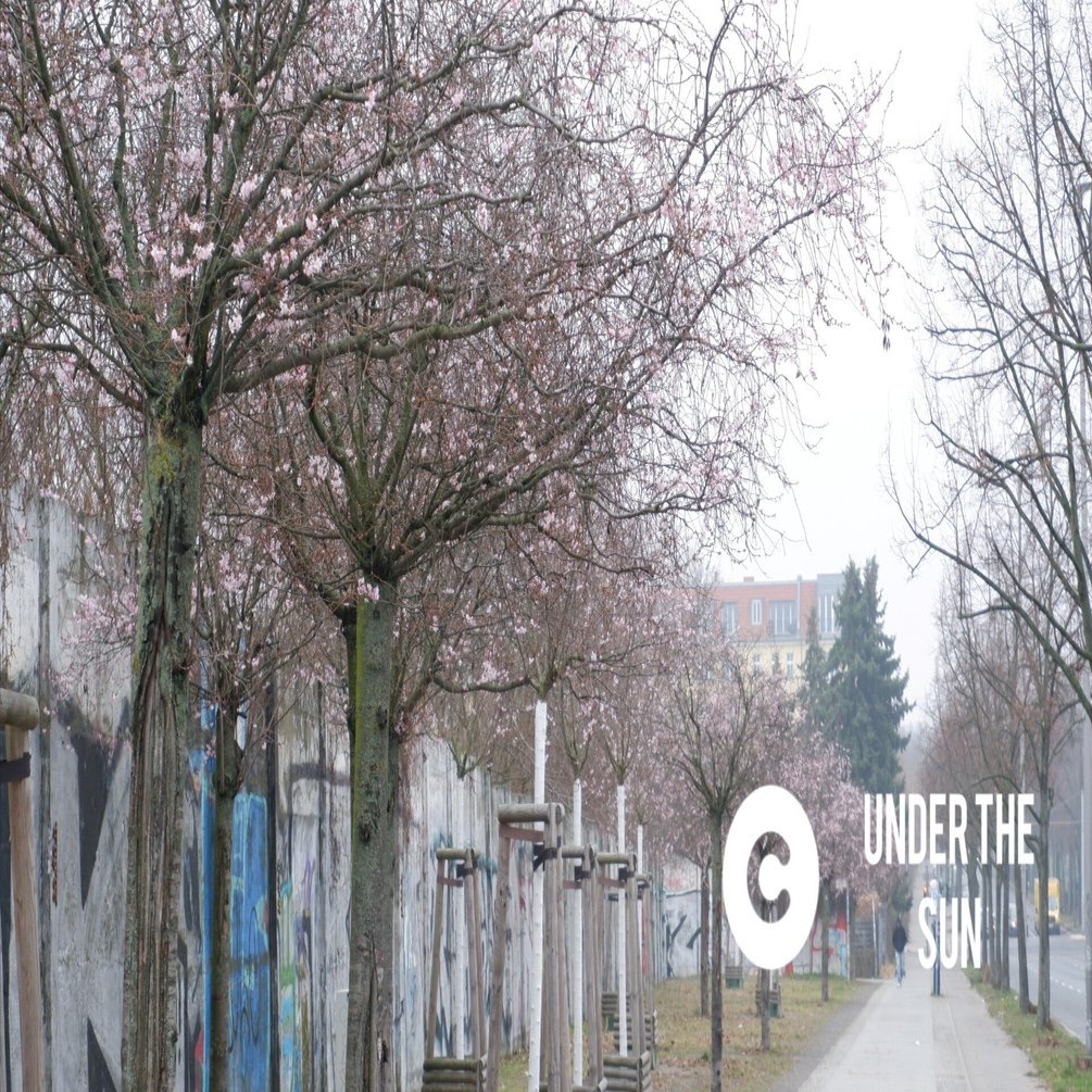 🇩🇪ベルリンの壁③～日本の桜咲く、壁が最初に崩壊した激動の地を