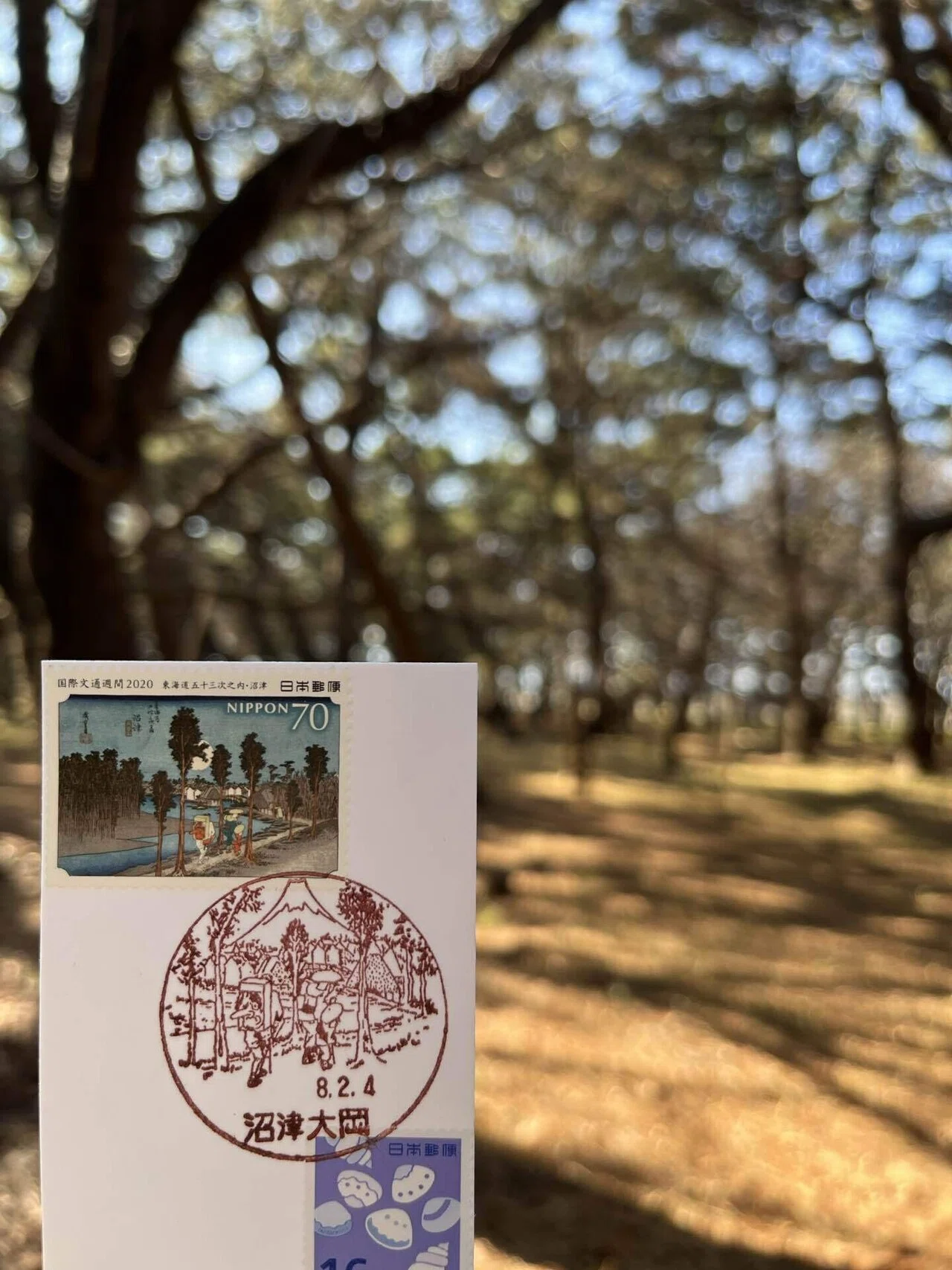 👣5 東海道五十三次 三島宿〜吉原宿｜irene