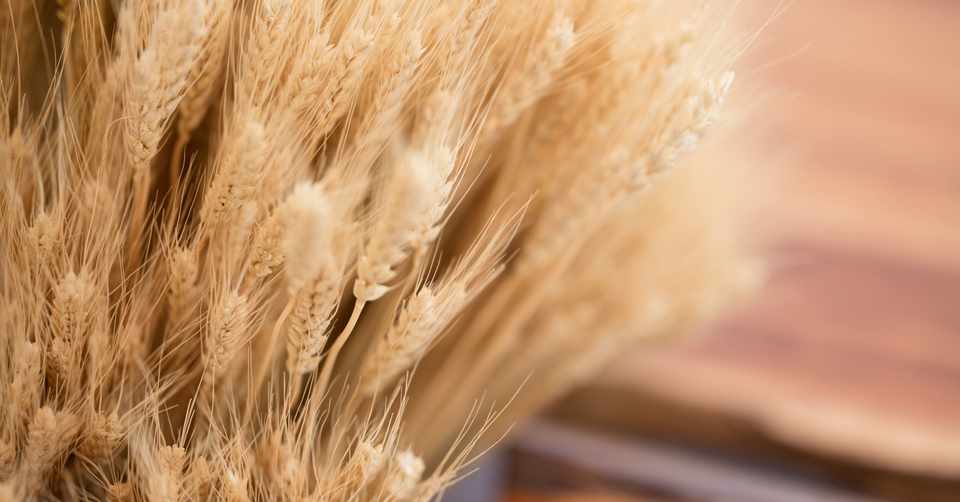 グルテンフリーって体にいいの アトピーマネージメント しゅうまいの実体験ノート Note