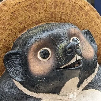 マネ活たぬきの独りゴト