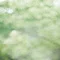 日々日記