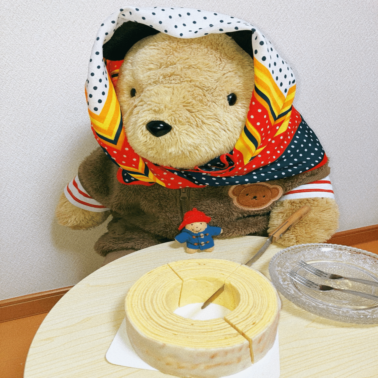 わがやのくまさんのにちじょう2026年2月の上旬編｜ひびのはなばな