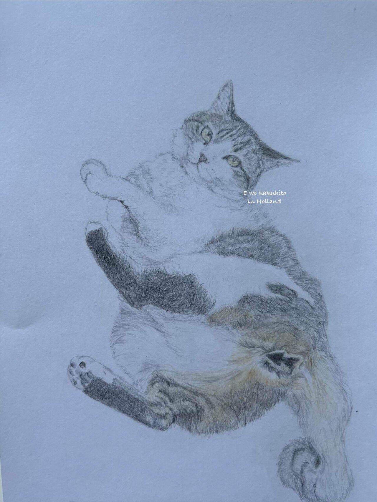 ちょっとだけよ、な猫ちゃん｜絵を描く人 in Holland