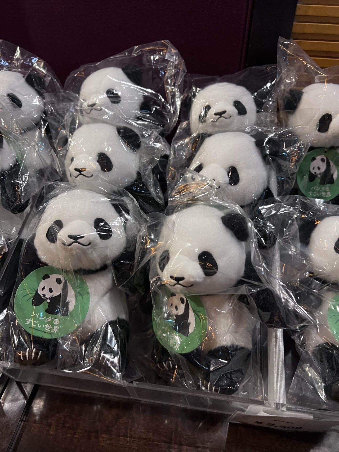 パンダのすごい世界』パンダのドキュメンタリー映画から考える客寄せ