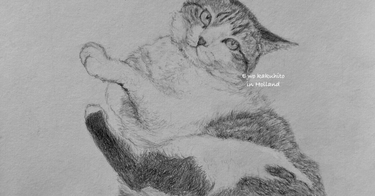 ちょっとだけよ、な猫ちゃん｜絵を描く人 in Holland