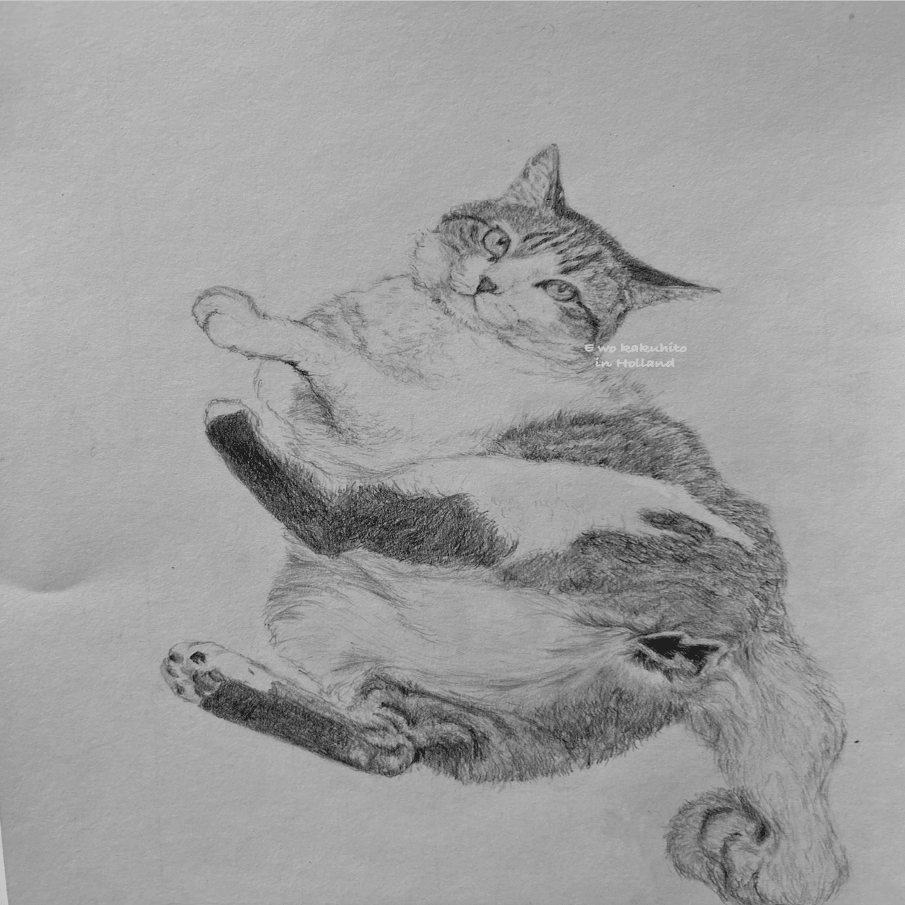 ちょっとだけよ、な猫ちゃん｜絵を描く人 in Holland