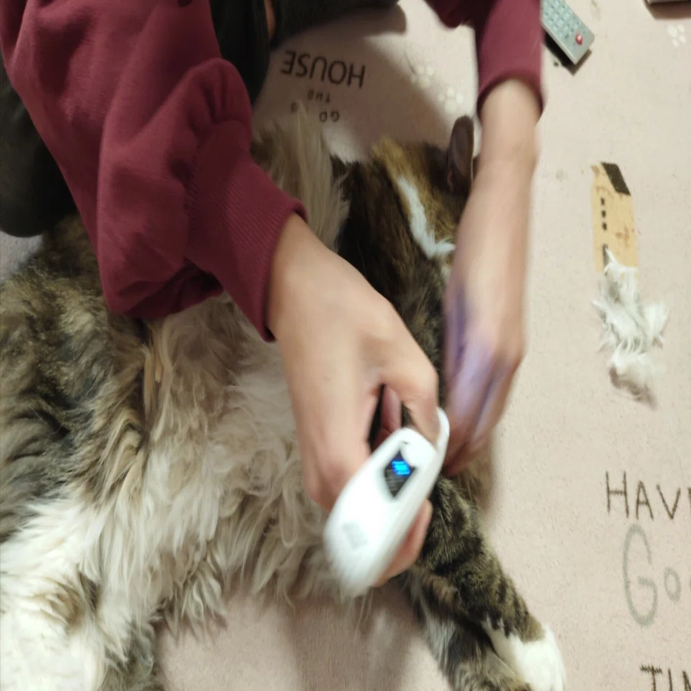 もうブラッシングじゃ間に合わない！猫の毛玉をミニバリカンでポロッと 