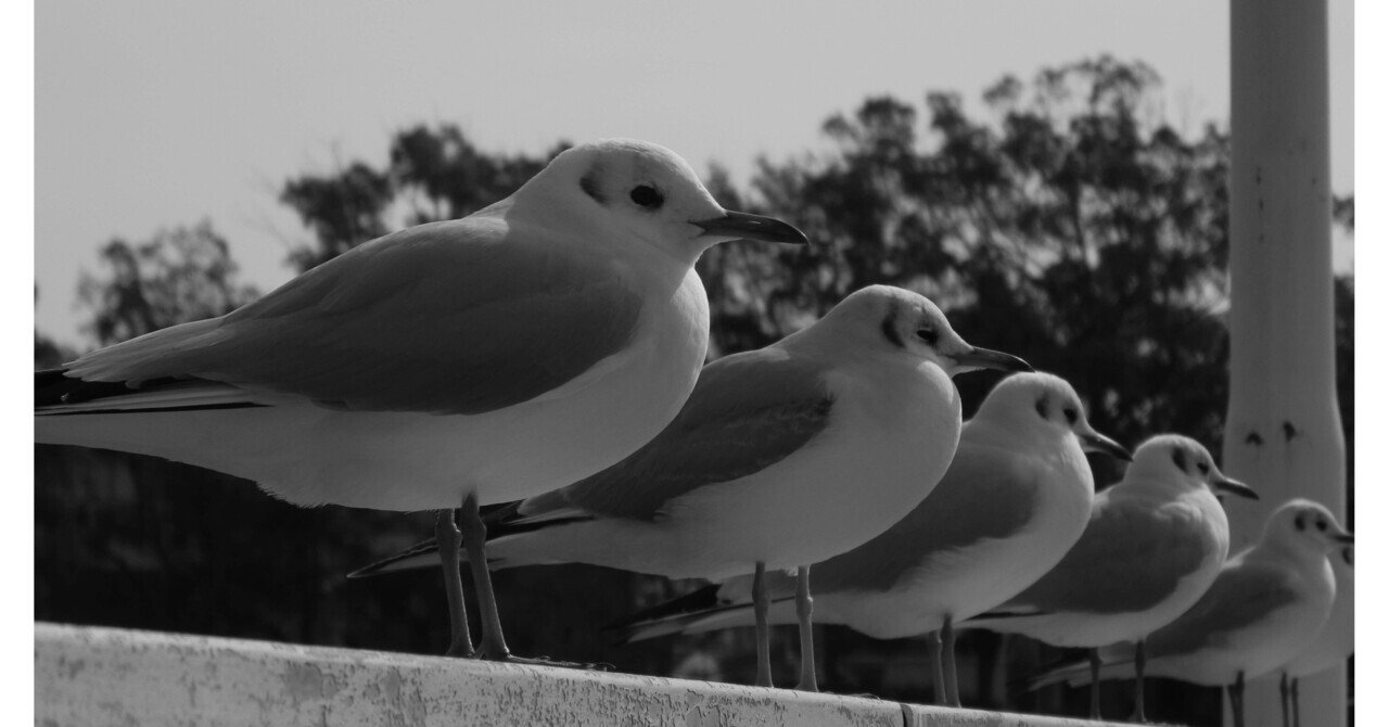 5枚を載せる 2/15 一体化する｜kojixx55