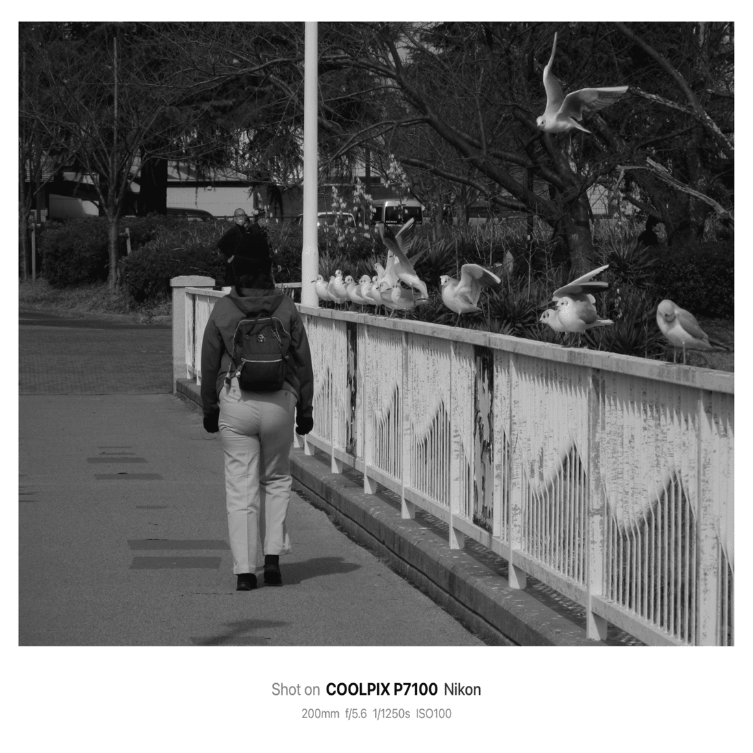 5枚を載せる 2/15 一体化する｜kojixx55