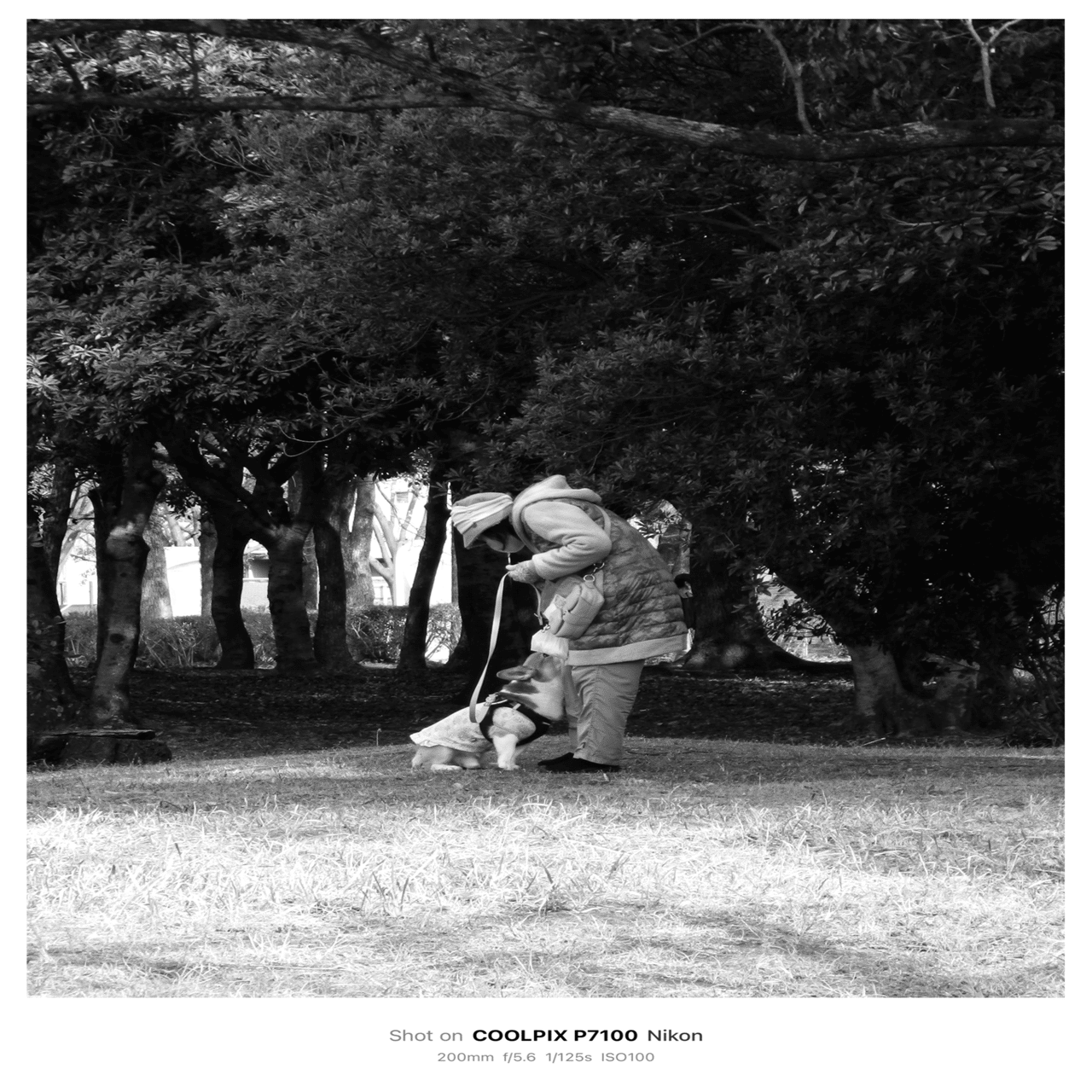 5枚を載せる 2/15 一体化する｜kojixx55