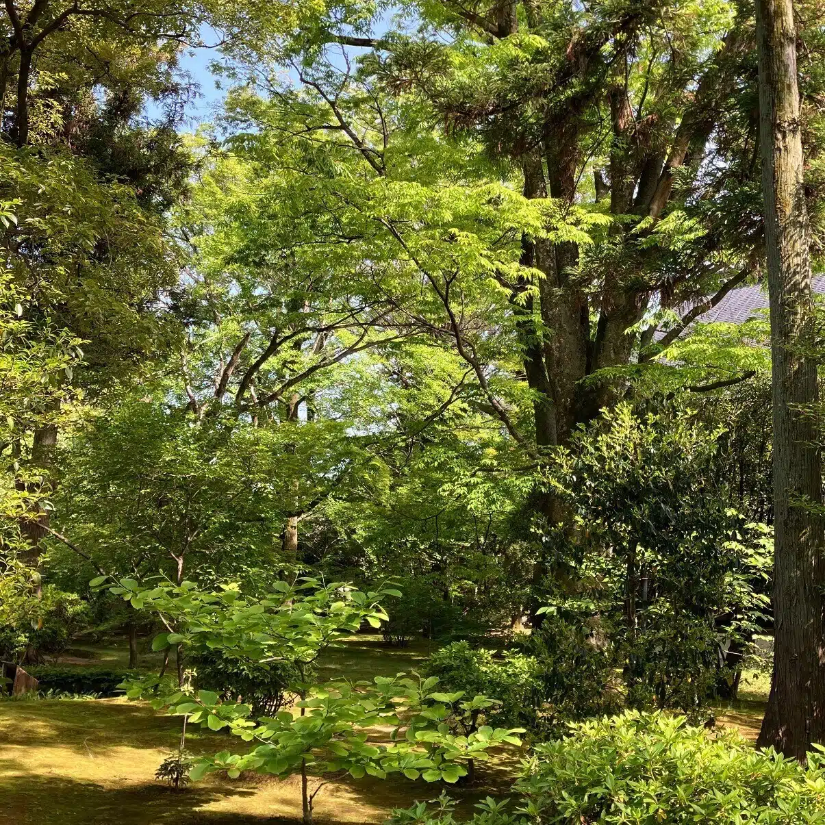 弥勒