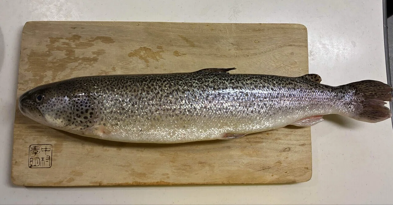 イトウ〜幻の魚〜を食す。｜ぶたごりら