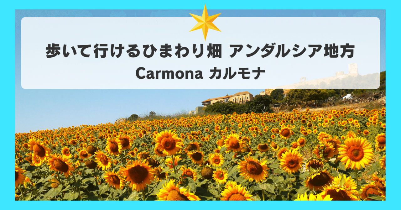 カルモナ：歩いて行けるひまわり畑 スペイン（アンダルシア地方）｜moza