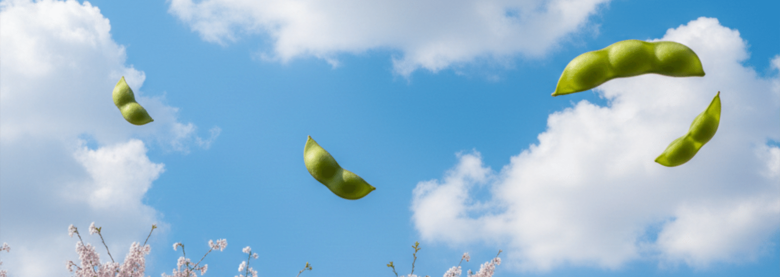 えだまめちゃん｜note