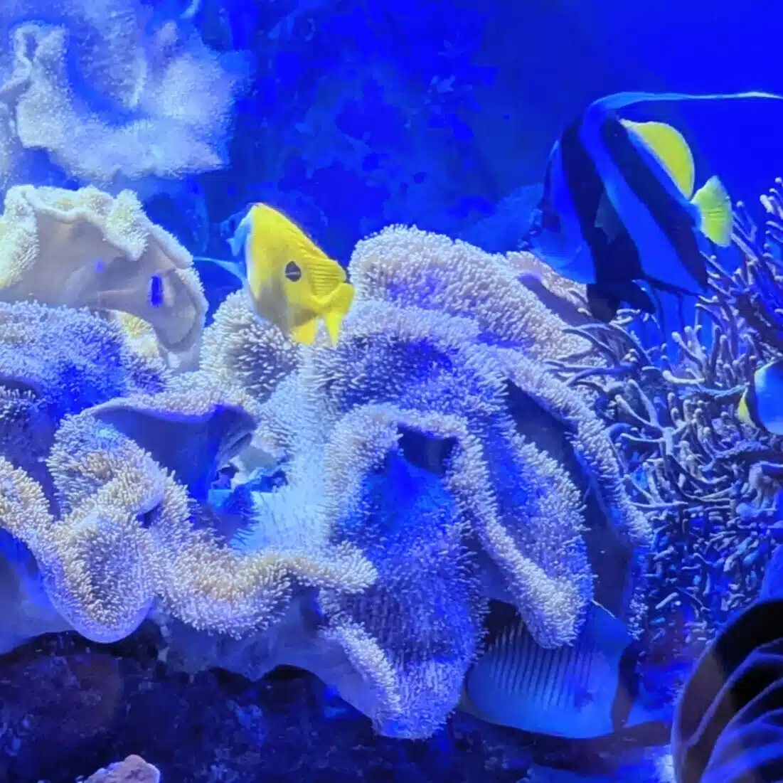 ユージン