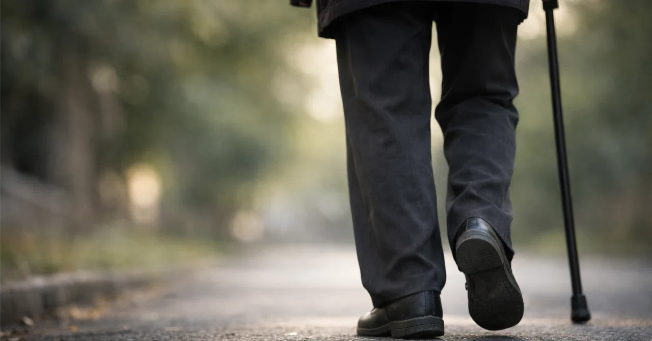 Why do they fall even though they can walk? — The fall risk of 'gait ...