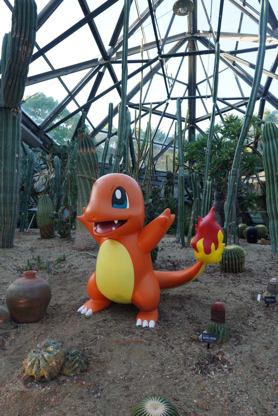 ポケカプレイヤーが行く韓国ポケモン旅｜yuki