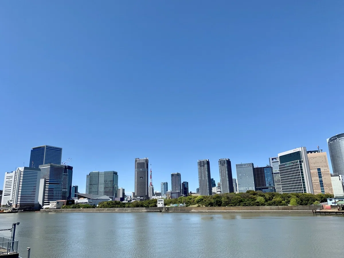 画像8