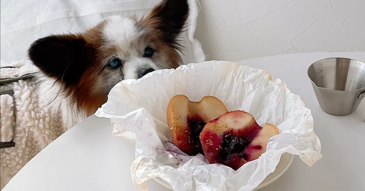 シニア犬の腸活・抗酸化に！丸ごと焼きりんご（手作り犬おやつレシピ 