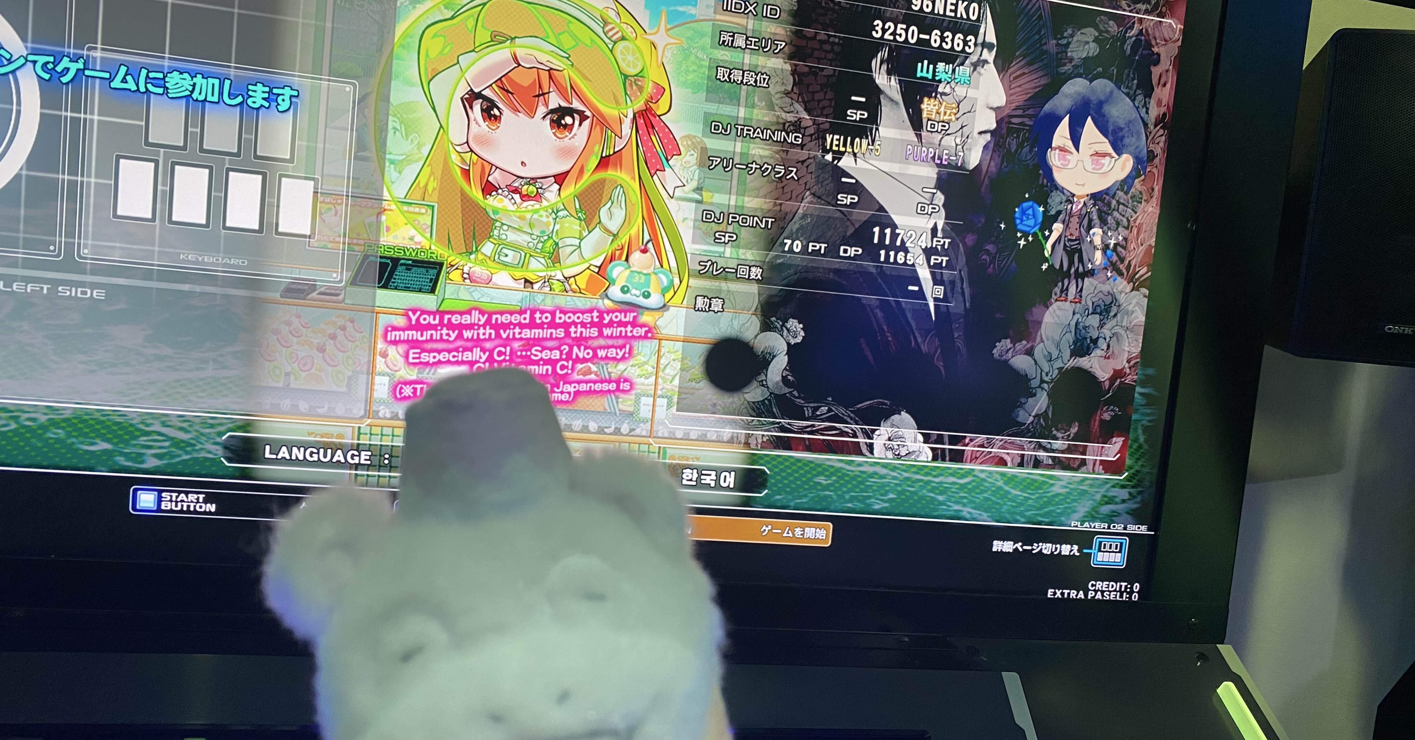 26.2.20追記※【IIDXDP週報】26.2.9～2.15｜山梨の96NEKO