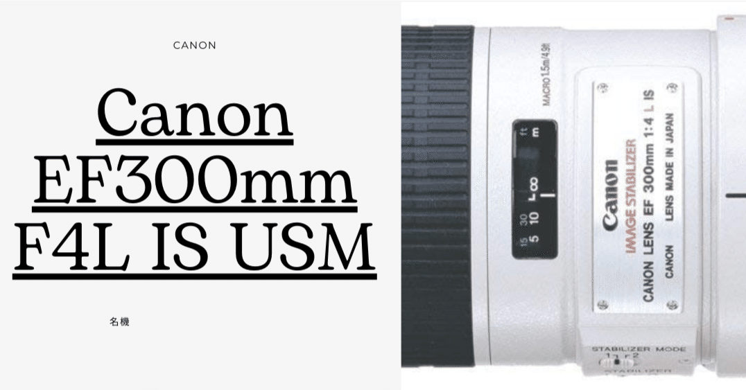 Canon EF300mm F4L IS USM｜趣味鳥
