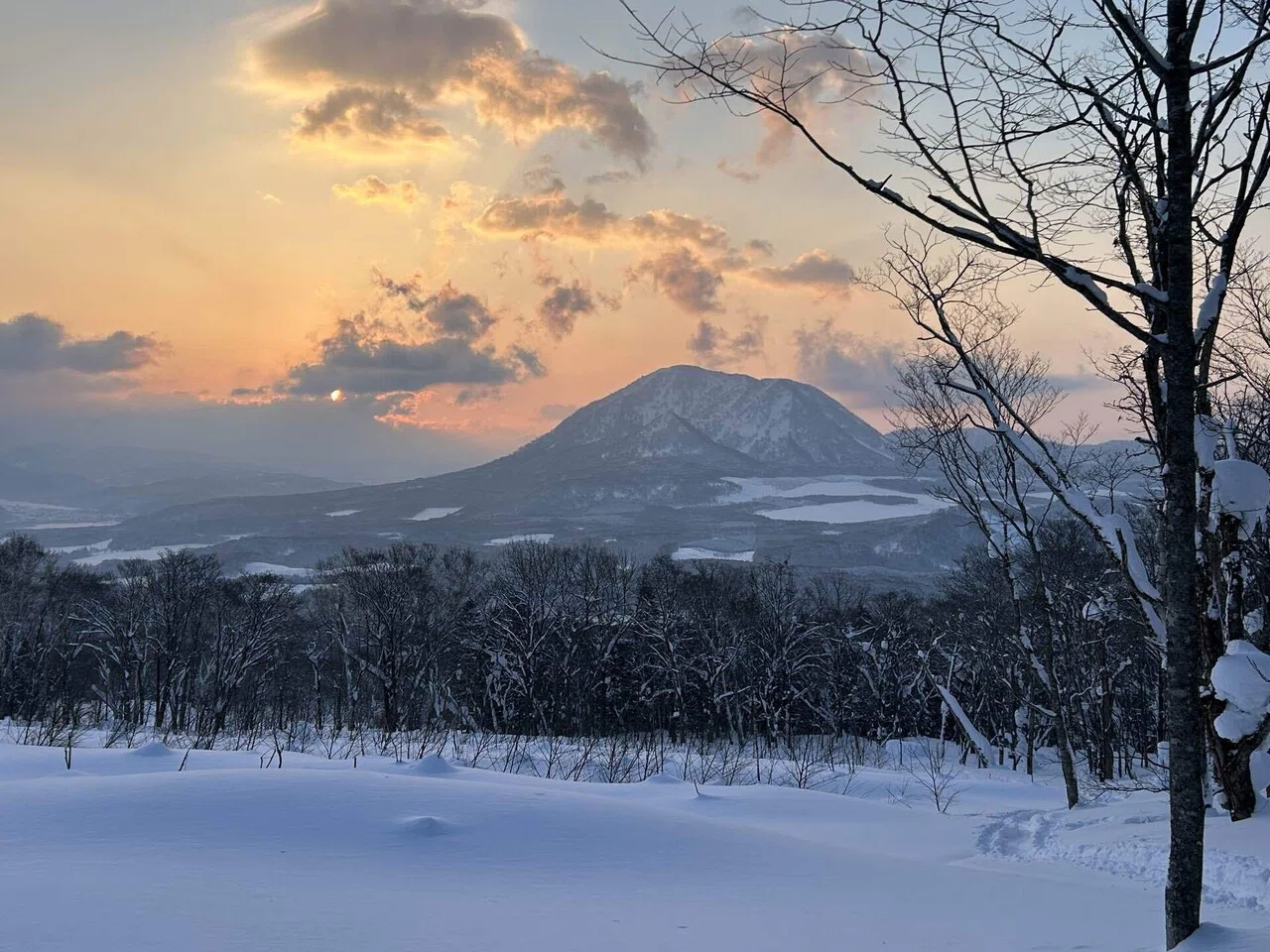 2026.2.14 | Mt. Yotei (Sawa No. 7) | Backcountry｜なりけん｜登山と