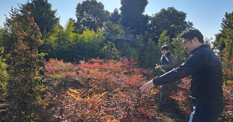 クライアントと庭づくり〜植栽を畑で買う編〜