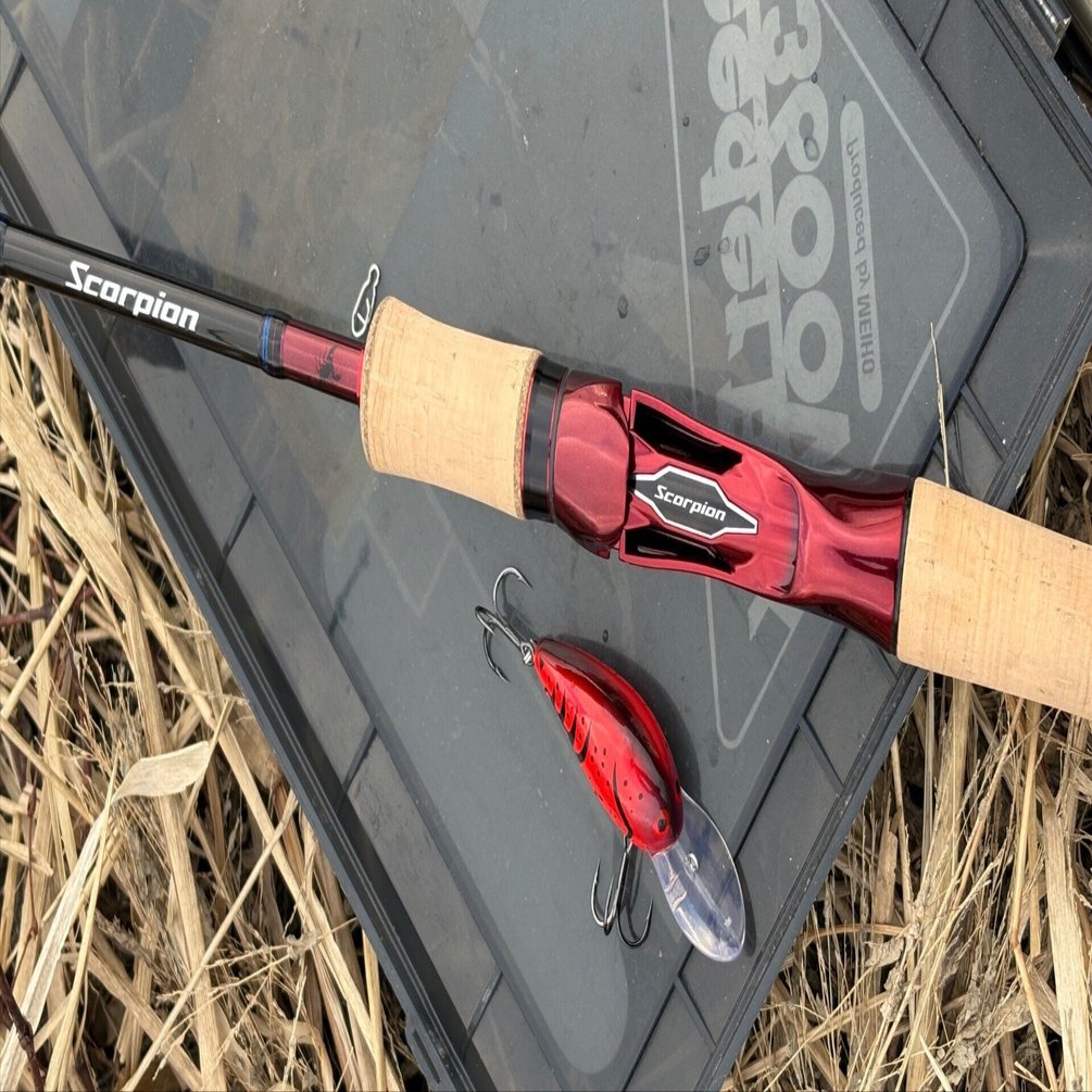 驚愕の汎用ロッド：シマノ スコーピオン 1652R-2｜ふじり